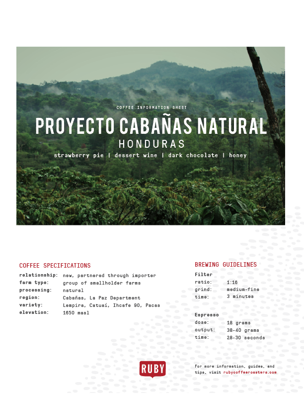 Honduras Proyecto Cabanas Natural