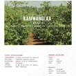 Load image into Gallery viewer, Kenya Kamwangi AA