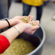 Load image into Gallery viewer, Roastery Tour - Friday, June 13 at 9:30AM