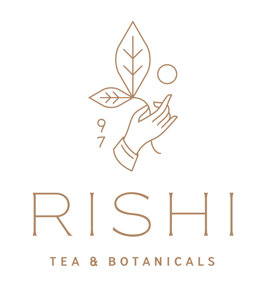 Rishi Simple Brew 400mL Teapot