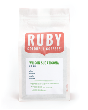 Peru Wilson Sucaticona
