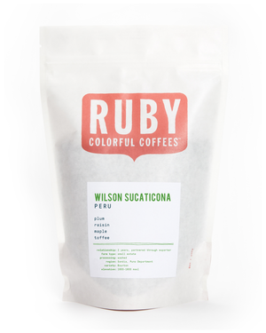 Peru Wilson Sucaticona