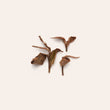 Load image into Gallery viewer, Spirit Clear Heart White Loose Leaf Tea
