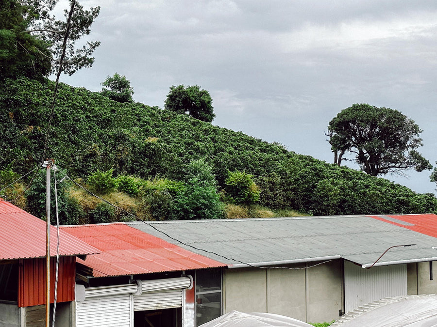 Costa Rica Don Joel Kenia