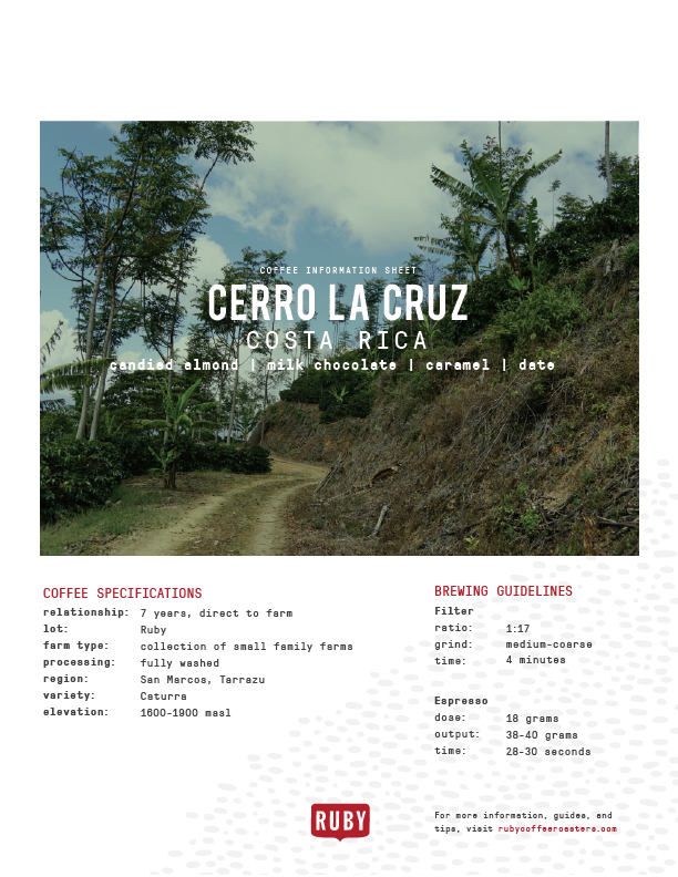 Costa Rica Cerro La Cruz Ruby- Wholesale
