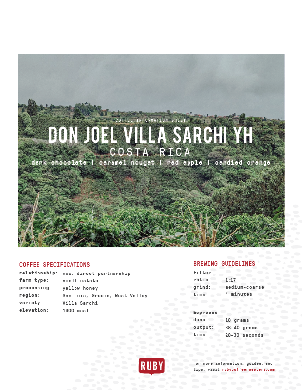 Costa Rica Don Joel Villa Sarchi YH