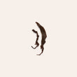 Load image into Gallery viewer, Spirit Cypress Curls Loose Leaf Tea
