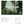 Load image into Gallery viewer, El Salvador Natamaya Pacamara Natural
