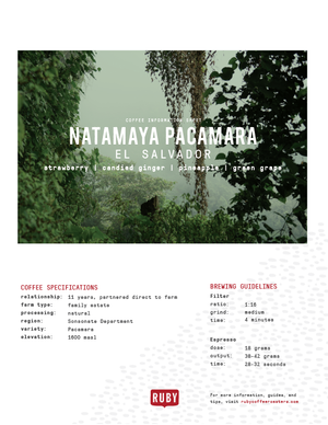 El Salvador Natamaya Pacamara Natural