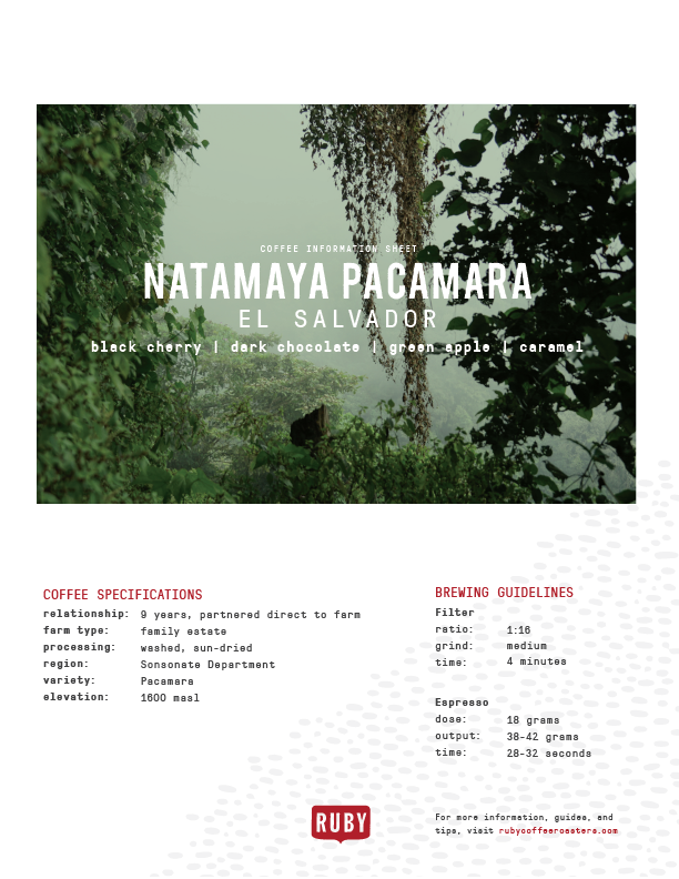 El Salvador Natamaya Pacamara