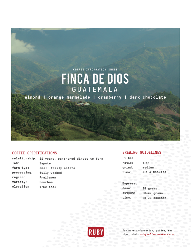 Guatemala Finca de Dios Zapote