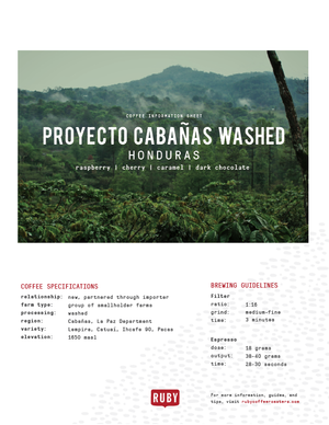 Honduras Proyecto Cabanas Washed