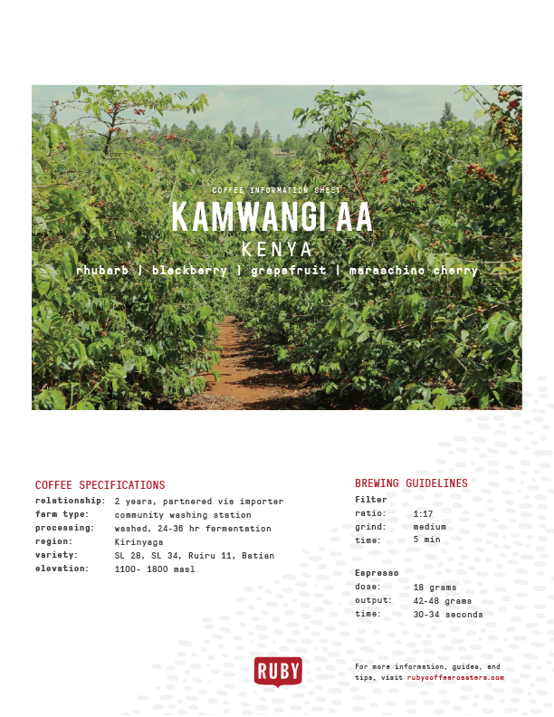 Kenya Kamwangi AA