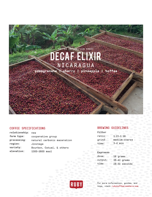 Decaf Nicaragua Elixir