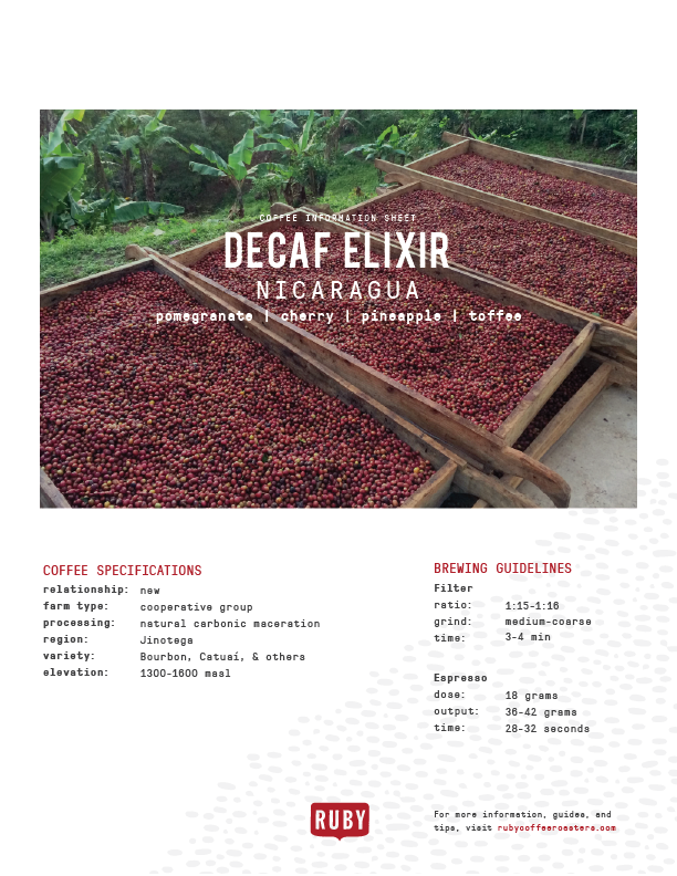 Decaf Nicaragua Elixir