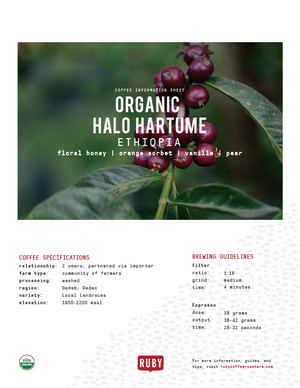 Organic Ethiopia Halo Hartume