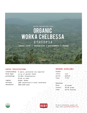 Organic Ethiopia Worka Chelbessa