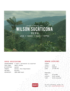 Peru Wilson Sucaticona