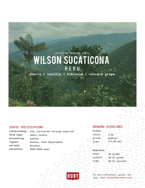 Peru Wilson Sucaticona Lot 2