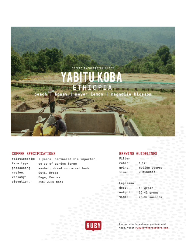 Ethiopia Yabitu Koba