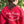 Load image into Gallery viewer, Ruby Embroidered Crewneck
