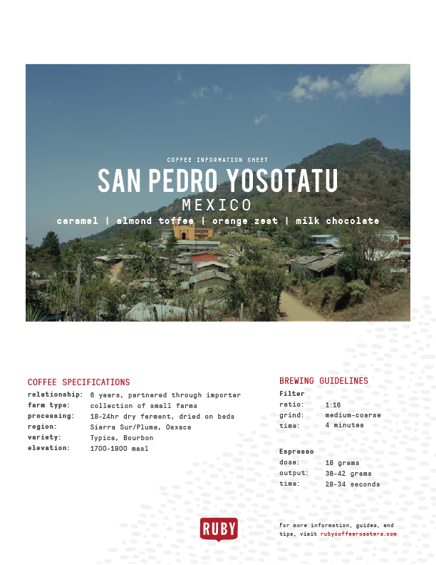 Mexico San Pedro Yosotatu