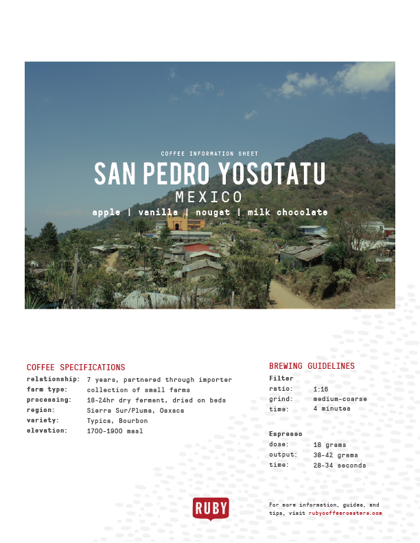 Mexico San Pedro Yosotatu