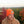 Load image into Gallery viewer, Ruby Patch Beanie
